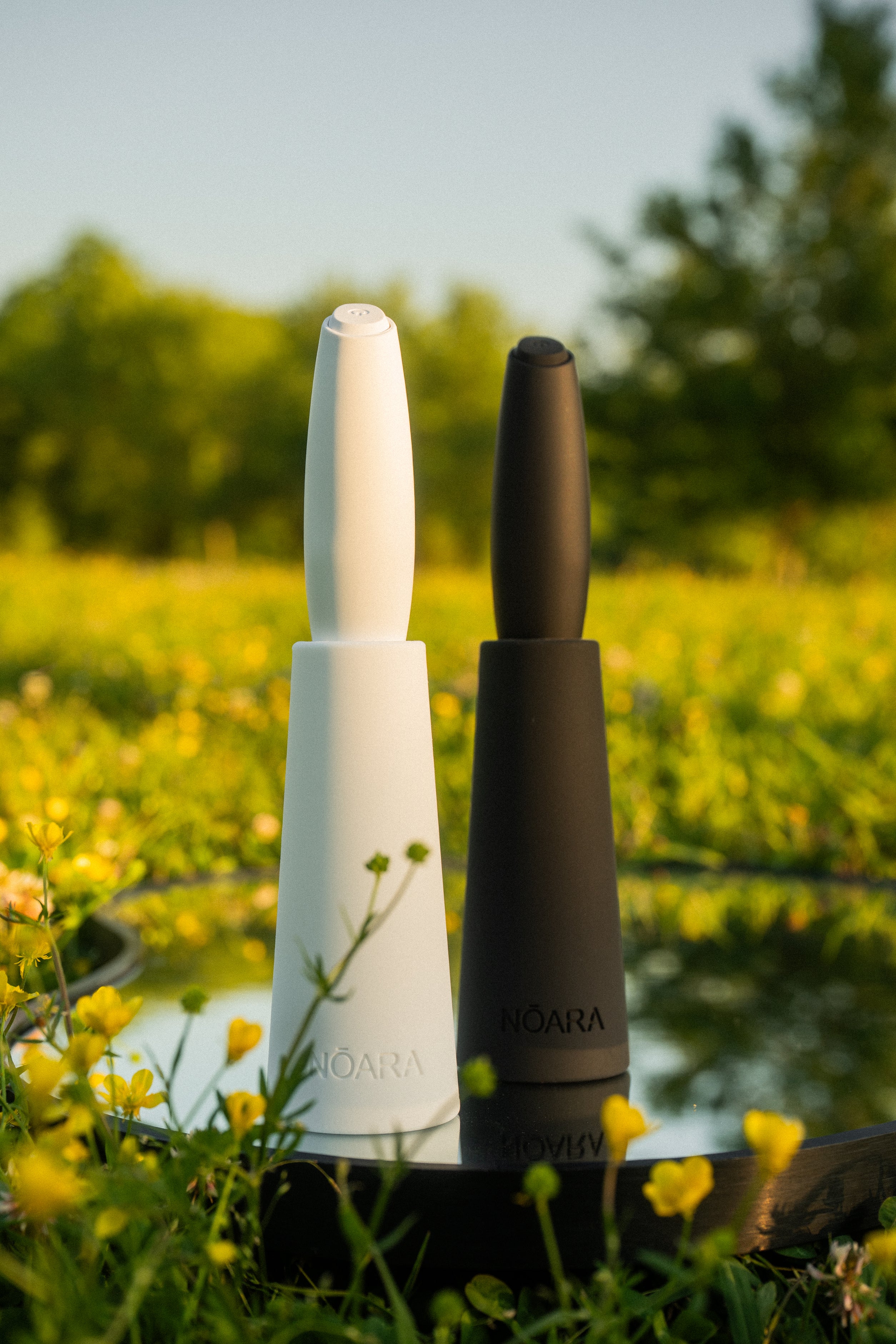 Frother & Silicone Stand Set